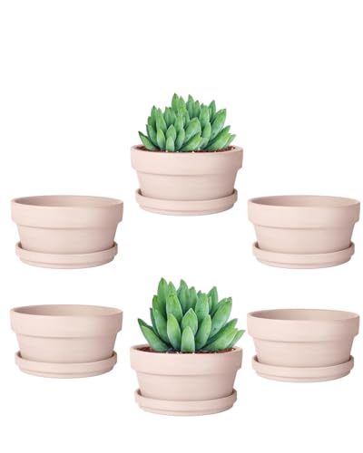 vensovo 4.5 Inch Pink Terracotta Succulent Pots with Saucers, 6 Pack - color: Pink, size: 4.5 Inch