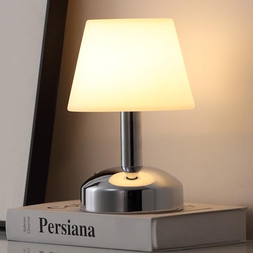 KDG Silver Cordless Small Table Lamp, Portable LED Dimmable Desk Lamp - color: Silver + White PE Plastic