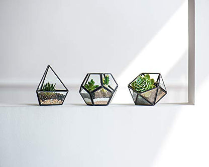 Mkono 3 Pack Fake Succulent in Geometric Glass Terrarium Black Office Decor - color: Black