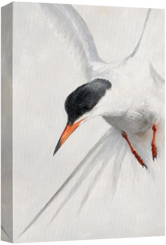 wall26 Canvas Print Wall Art Flying Tern Seabird Photography Realism Chic Multicolor for Living Room, Bedroom, Office - 12"x18" - color: A33-2608-ANG02, size: 18"L x 12"W