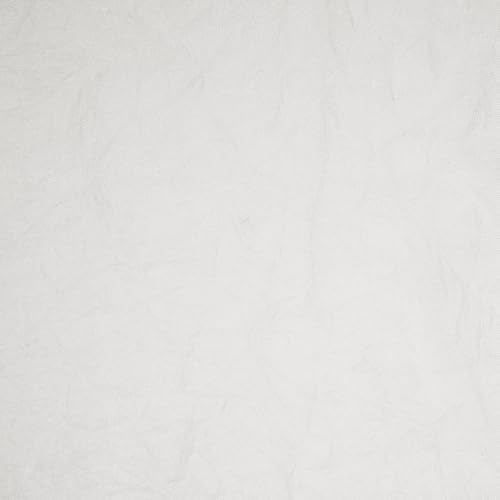 No. 918 Tayla Crushed Texture Semi-Sheer Rod Pocket Curtain Panel, 50" x 108", Cream Off-White - color: Cream Off-white, size: 50"W x 108"L (Pack of 1)