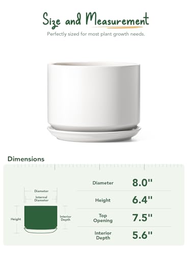 LE TAUCI 8 Inch Plant Pot, Ceramic Pots for Plants, White - color: White, size: 8"
