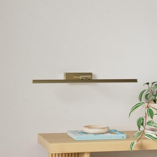 HEAGEERO Picture Lights for Wall,20in Gallery Light,5000mAh Art Light - color: Antique Brass-20"