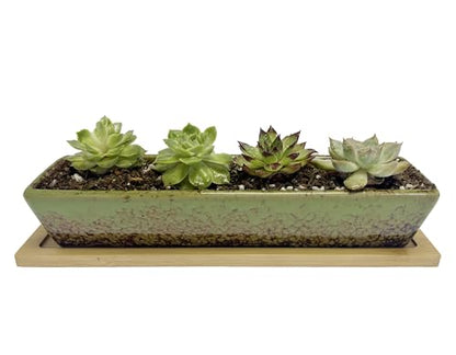 9.8inch Green Long Rectangle Ceramic Succulent Planter Pot,one Set of Mini Flower Plant Container with Bamboo Saucers. Product Size:9.8x2.35x1.77inch,not Include The Plant. - color: Green