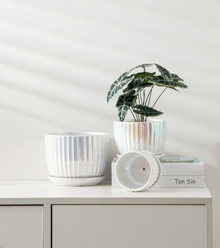 Plant Pots,Ceramic Flower Pots with Drainage Holes & Saucer Set of 3（Pearl） - color: Pearl White