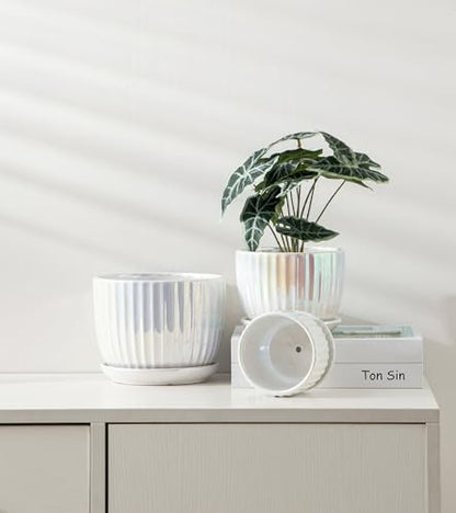 Plant Pots,Ceramic Flower Pots with Drainage Holes & Saucer Set of 3（Pearl） - color: Pearl White