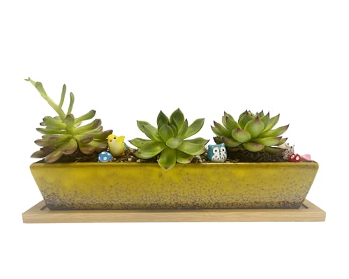 9.8inch yellow long rectangle Ceramic Succulent Planter Pot,one set of Mini Flower Plant Container with Bamboo Saucers. Product size:9.8 x2.35x1.77 inch,not include the plant. (Yellow) - color: Yellow