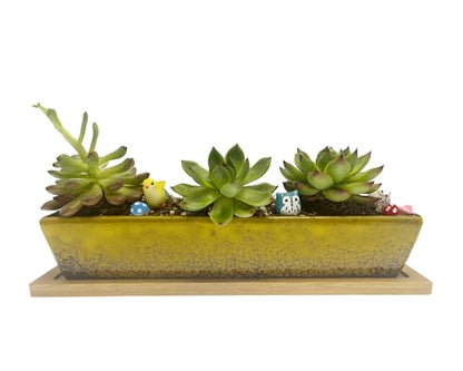 9.8inch yellow long rectangle Ceramic Succulent Planter Pot,one set of Mini Flower Plant Container with Bamboo Saucers. Product size:9.8 x2.35x1.77 inch,not include the plant. (Yellow) - color: Yellow