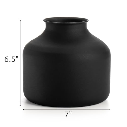 Goaste Metal Matte Flower Vase, Black Vases for Flowers, 6.5 Inch Tall Iron Frosted Flower Arranging Vase for Table Centerpiece, Home, Shelf, Office, Garden Decor, Black