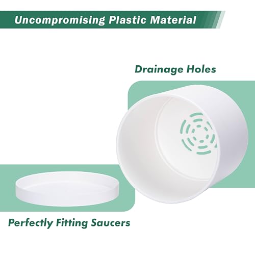 D'vine Dev Plastic Planter Pot with Saucer, 10 in, White Color, 74-X-A-2 - color: Matte White, size: 10 Inch