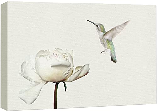 wall26 Canvas Print Wall Art Hummingbird Flies On White Carnation Flower Animals Wildlife Photography Realism Rustic Scenic Nature Chic Colorful for Living Room, Bedroom, Office - 12"x18" - color: Artwork - 10, size: 18"L x 12"W