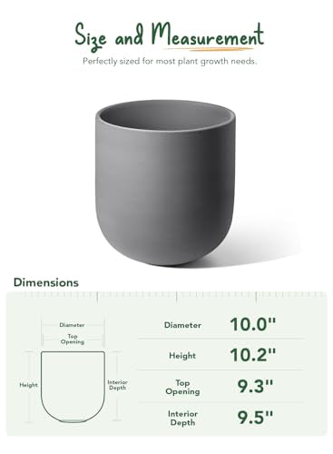 LE TAUCI 10 Inch Plant Pot, Ceramic Pots for Plants, Charcoal Gray - color: Charcoal Gray, size: 10"