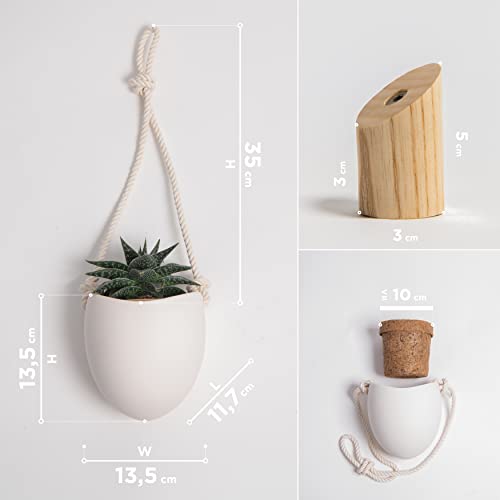 Kazai.® | Porcelain Wall Vases | 3 Piece Set | Including Wooden Hooks | Matte White - color: White (Matte), size: Set of 3 - Large