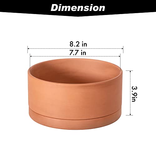D'vine Dev Terracotta Shallow Planter Pot with Saucer, 8 in, 40-Y-A-0 - size: 8 Inch