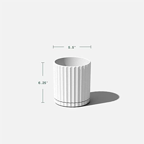 Veradek Demi Series Demi 6" Planter w/Tray - White, 2 Pack - color: White, size: 6 inch - 2 Pack
