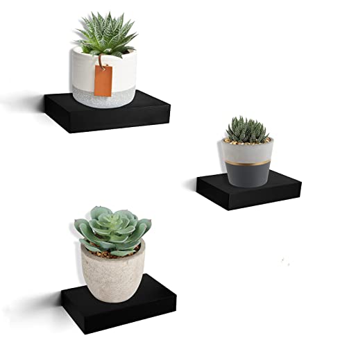HAO Small Floating Shelf 6 inch Wall Mounted Mini Hanging Display Shelves for Living Room Bedroom Bathroom Set of 3 Black - color: Black, size: 5.5 Inch,Set of 3