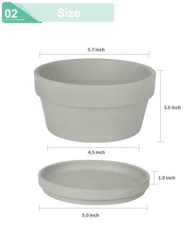 vensovo 5.7 Inch Grey Terracotta Succulent Pots with Saucers, 6 Pack - color: Gray, size: 5.7 Inch