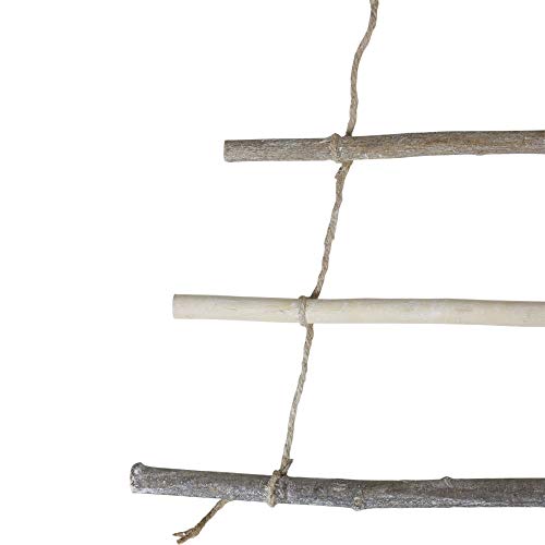 Northlight SH86506 31" Rustic Natural Wood Wall Hanging