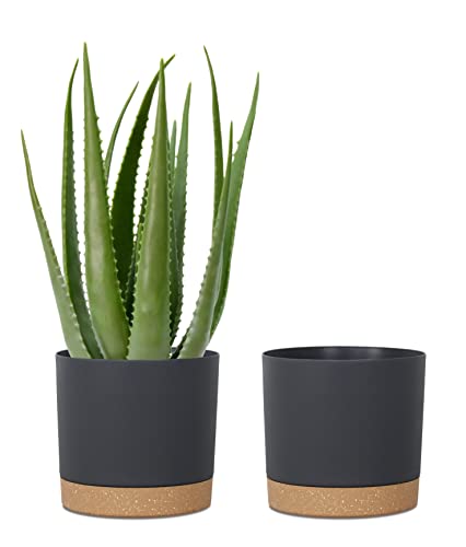 kubvici Plant Pots for Indoor Plants, 2 Pack 10 Inch Plant Pot(10" Black) - color: Black, size: 10 inch