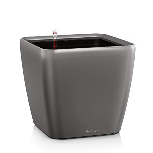 Lechuza Quadro LS 28 Charcoal Metallic, Self-Watering Square Planter, H10.2 L11 W11 in - color: Anthracite Metallic, size: H26 L28 W28 cm