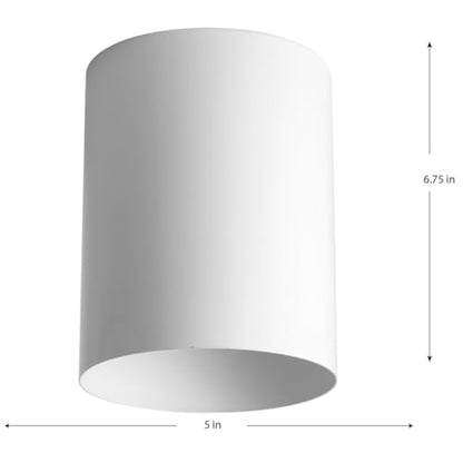 Progress Lighting 5-Inch Cylinder Outdoor Flush Mount Ceiling Light, White - color: White