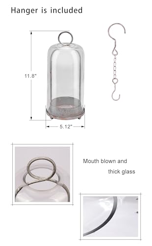 12" High Versatile Modern Metal Hurricane Lantern with Handmade Sturdy Glass Dome in Shabby White for Pillar Candle & Plants, Industrial, Farmhouse (White Shabby, 5"x12") - color: White Shabby, size: 5"x12"