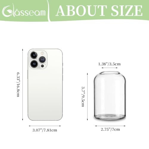 Glasseam Glass Bud Vases for Single Stem Flower, Small Clear Vase Set of 12 - size: S-12Pcs