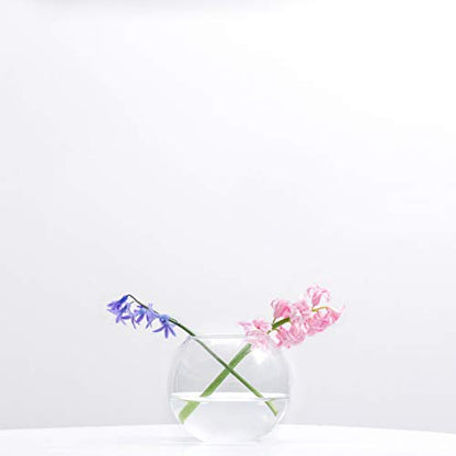 WGV Bowl Glass Vase Bulk, Diameter 6", Height 5", Open Width 4", (Multiple Sizes Choices) Clear Bubble Planter Terrarium Fish Bowl for Wedding Event Home Decor, 12 Pieces (VBW0006) - size: 6"Dx5"H 1 Case