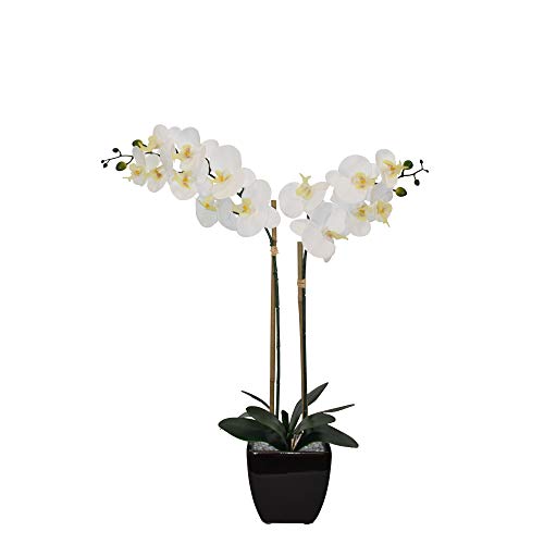Nature's Elements Tabletop Artificial Orchid Flower (Black) - color: Black