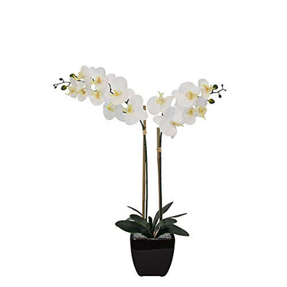 Nature's Elements Tabletop Artificial Orchid Flower (Black) - color: Black