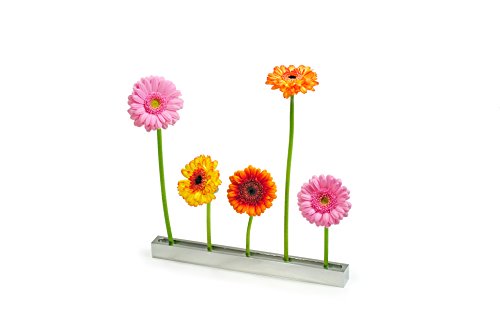 XXD Flower Boulevard Vase – an Vase – Impressed by Design