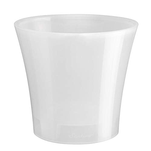 Santino Arte 5.3 in. Self-Watering Planter - color: Transparent, size: 5.3-Inch