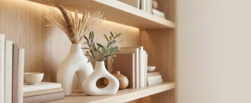 Carrot's Den Ceramic Modern Vase Set of 2, Donut Shelf Decor, Warm White - color: Warm White