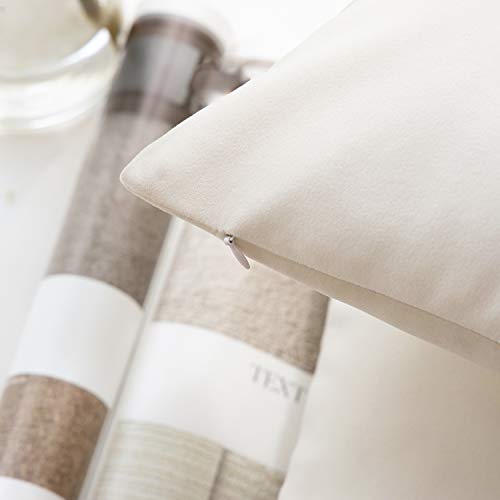 Phantoscope Pack of 2 Velvet Decorative Throw Decorative Pillow Cover Soft Solid Square Cushion Case for Couch Off White 12 x 20 inches 30 x 50 cm - color: Off White, size: 20" x 12" (Pack of 2)
