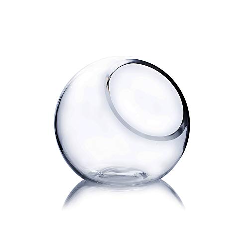WGV Slant Cut Bowl Glass Vase, Width 5.5", Height 5.5", Clear Round Globe Planter Terrarium Orb, Candy Dish, Fruit Jar, Floral Container for Home Office Decor, 1 Piece - size: Orbit 5.5"D