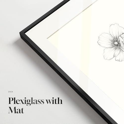 Framed Black and White Botanical Wall Art for Bathroom, 4 Piece 11x14 In - color: Black and White, size: 11" W x 14" H x 4 pcs