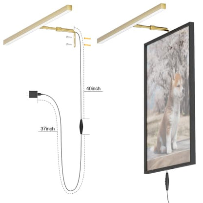 24" LED Picture Light Plug in, 9W Gold Art Light - color: Gold, size: 24 inch