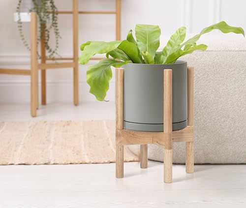 D'vine Dev Ceramic Pot with Natural Wood Stand, Grey, 8 in, 55-B-N-3 - color: Grey Pot + Natural Stand, size: 8 Inch