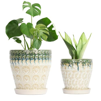 Ceramic Planter Pots for Indoor Plants, 8Inch + 6 Inch Plant Pot with Drainage Holes, Saucers and Mesh Pads, Succulent Orchid Flower Pot -Set of 2 - size: set of 2-8inch+6inch