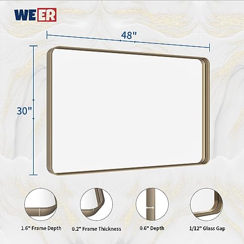 WEER Bathroom Vanity Mirror Bronze 48X30 Inch - color: Bronze, size: 48"L x 30"W