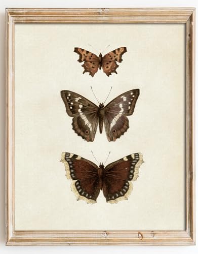 Kizbok Vintage Butterfly Wall Art Prints Decor Neutral Butterfly Sketch Canvas Prints Rustic Antique Butterfly Drawing Oil Painting, Butterfly Art Pictures for Bedroom, Farmhouse Wall Decor for Bathroom Home(8" x 10"-UNFRAMED) - color: Butterfly, size: 10