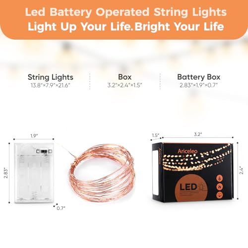 Ariceleo 1 Pack 16.4ft Battery Operated String Lights with Timer, Warm White with Synchronized Twinkle Mode, Fairy Lights Battery Powered, 50 LEDs, Idea for Christmas Bedroom Party Wedding - color: Warm White, size: 1 Pack-Upgrade