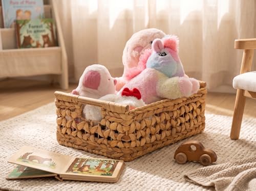 NAYA Set of 2L (16.5"&15") Water Hyacinth Wicker Shelf Storage Baskets - size: Set 2 Medium - Large