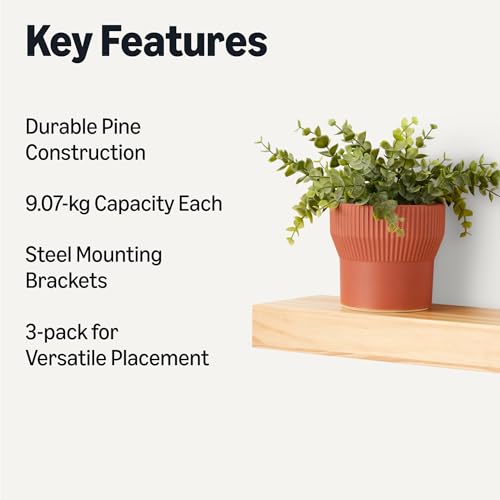 Amazon Basics Wood Floating Wall Shelves, 3-Pack, Pine, 15.8" x 5" x 1.8", Natural Wood Finish - color: Pine