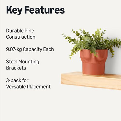 Amazon Basics Wood Floating Wall Shelves, 3-Pack, Pine, 15.8" x 5" x 1.8", Natural Wood Finish - color: Pine
