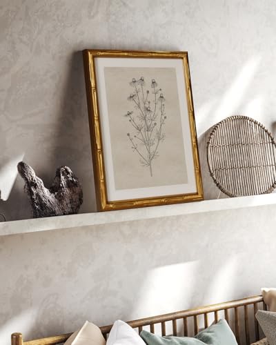 InSimSea Gold Bamboo Framed Wall Art, Chamomile Botanical Prints, 11x14In - color: Chamomile
