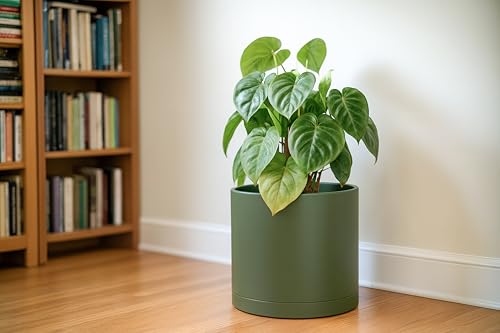 D'vine Dev Plastic Planter Pot with Saucer, 12 in, Olive, 74-X-I-3 - color: Olive, size: 12"