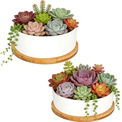 White Ceramic Succulent Plant Pots, Set of 2 Round Planter Small Cactus Container, Bonsai Pots, Succulent Pots with Drainage Hole& Bamboo Tray (No Plant) - color: Round*2