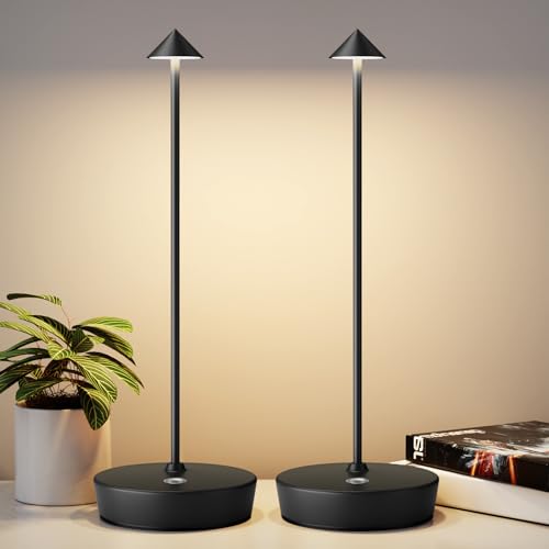2Pack Rechargeable Cordless Table Lamp, Portable Powered LED Battery 6000mAh Metal USB Desk Lamp, 3 Levels Brightness Light for Restaurants Outdoor (2pack Black) - color: 2pack Black