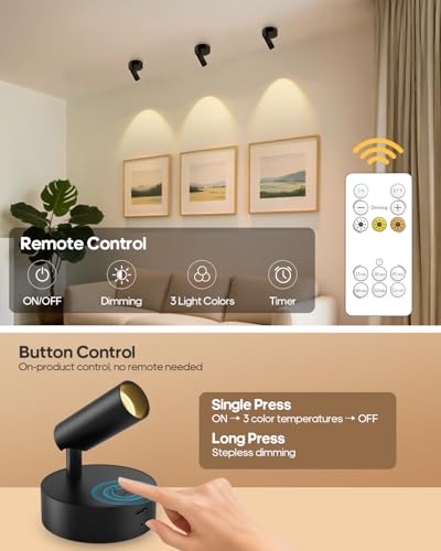 Spotlights Indoor with Remote, 3000Mah Rechargeable Wireless Plant Light - color: Black-3000mAh